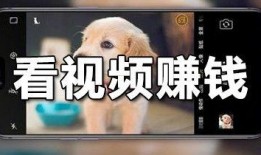 拍视频挣钱的软件,开启你的赚钱新纪元