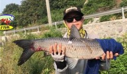 青鱼视频万部国产,青鱼视频引领国产影视新潮流