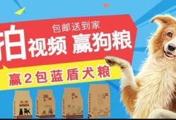 狗粮做法视频教程,自制狗粮视频教程全解析