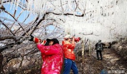 缙云新闻视频,聚焦本土发展，展现时代风采