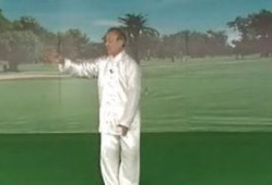 祝大彤太极拳教学视频,深入浅出，领略太极精髓