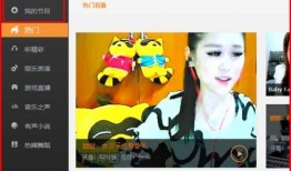 yy3879强踢教学视频,揭秘高阶技巧与实战应用