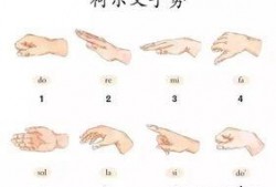 手势歌视频,轻松学习日常用语，趣味互动乐翻天