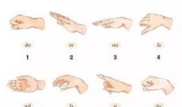 手势歌视频,轻松学习日常用语，趣味互动乐翻天