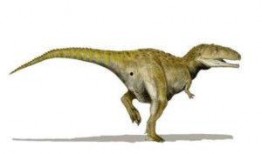 巨兽龙vs鲨齿龙视频,史前巨兽的生死较量