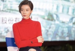 车晓视频,揭秘明星日常，展现真实魅力