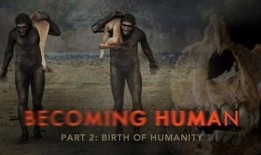 人类进化视频动画,人类进化历程动画解析