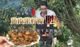 新鲜柠檬鸭的做法视频,酸辣开胃，家常美味，跟着视频轻松学会