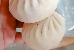 包子包法视频