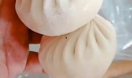 包子包法视频