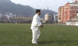 祝大彤太极拳教学视频,深入浅出，领略太极精髓