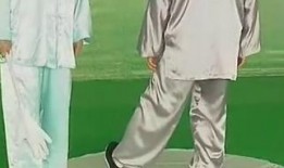 祝大彤太极拳教学视频,深入浅出，领略太极精髓