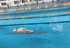 梦觉自由泳教学视频