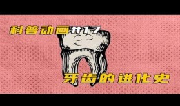 人类进化视频动画,人类进化历程动画解析