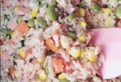 散饭的做法视频教程,散饭制作教程，家常美味轻松掌握